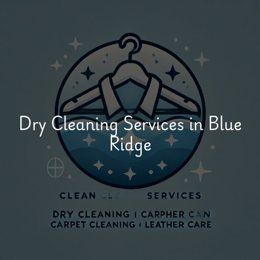 Find dry cleaning services in Blue Ridge