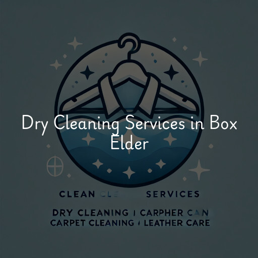 Find dry cleaning services in Box Elder