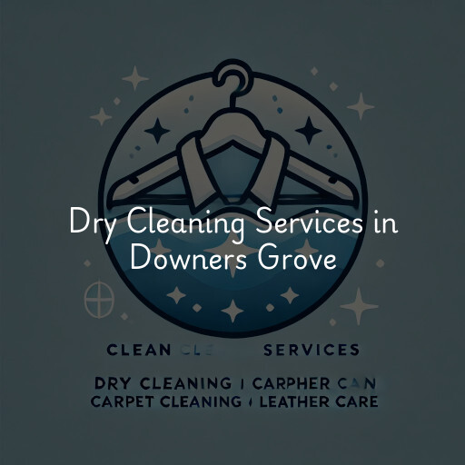 Find dry cleaning services in Downers Grove