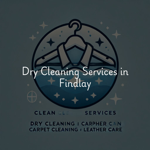 Find dry cleaning services in Findlay