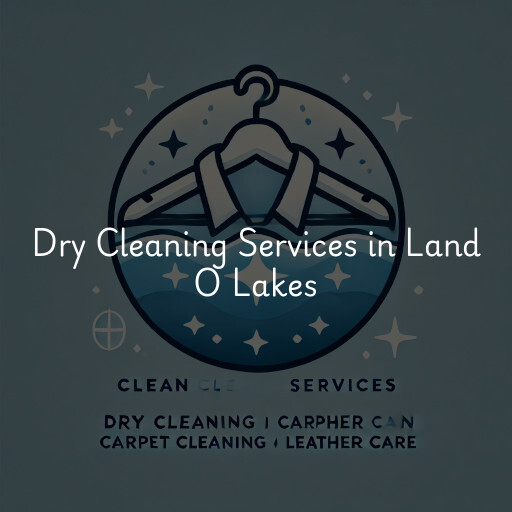 Find dry cleaning services in Land O Lakes