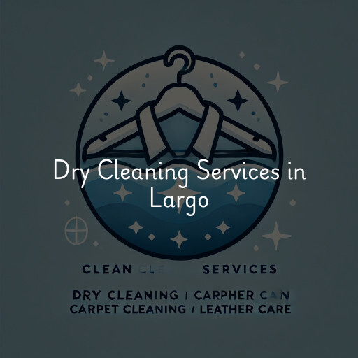 Find dry cleaning services in Largo