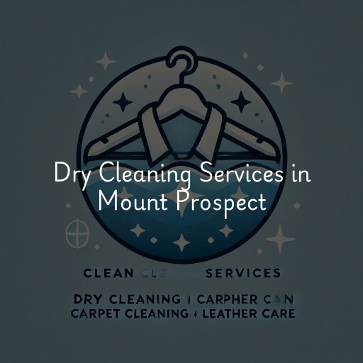 Find dry cleaning services in Mount Prospect