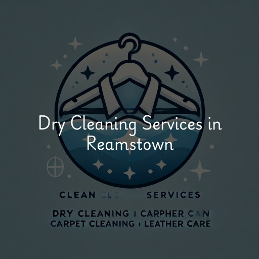 Find dry cleaning services in Reamstown