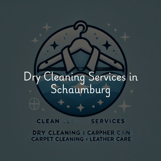 Find dry cleaning services in Schaumburg