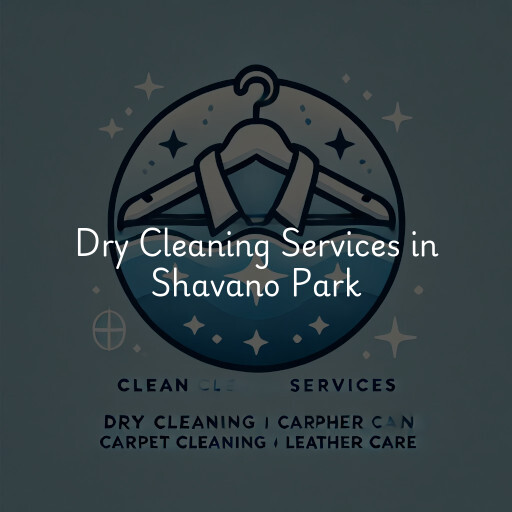 Find dry cleaning services in Shavano Park