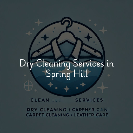 Find dry cleaning services in Spring Hill