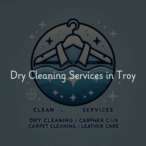 Find dry cleaning services in Troy