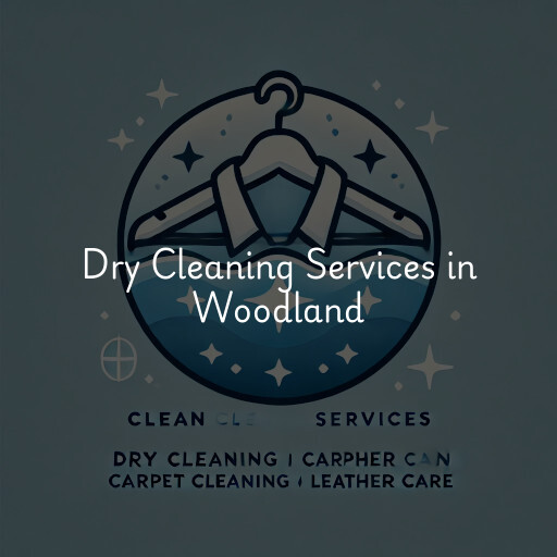 Find dry cleaning services in Woodland