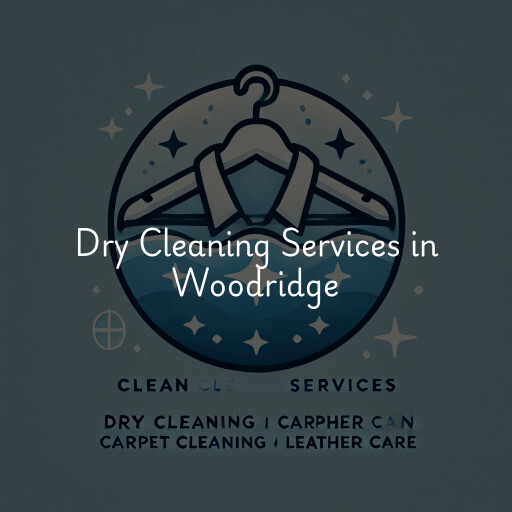 Find dry cleaning services in Woodridge