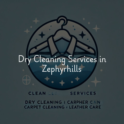 Find dry cleaning services in Zephyrhills