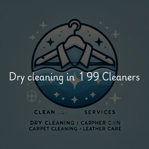 Dry Cleaning at  1 99 Cleaners