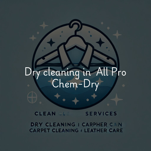 Dry Cleaning at  All Pro Chem-Dry