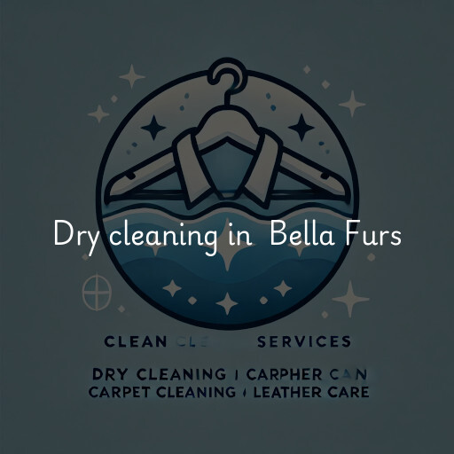 Dry Cleaning at  Bella Furs