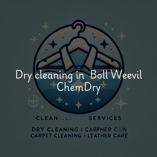 Dry Cleaning at  Boll Weevil ChemDry