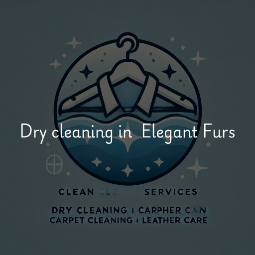 Dry Cleaning at  Elegant Furs