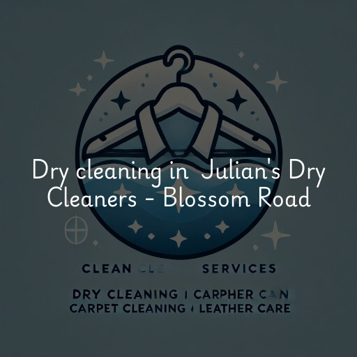 Dry Cleaning at  Julian's Dry Cleaners - Blossom Road