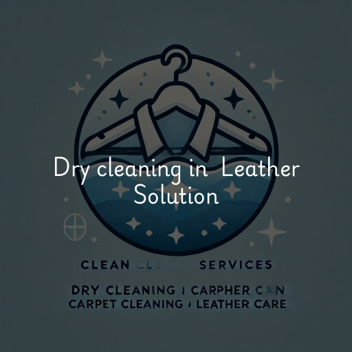 Dry Cleaning at  Leather Solution