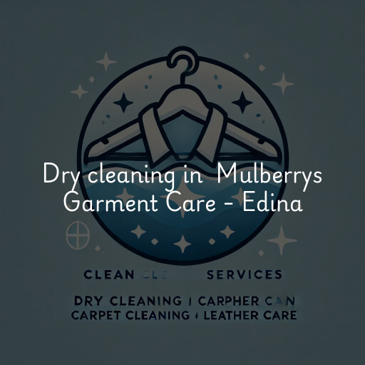 Dry Cleaning at  Mulberrys Garment Care - Edina