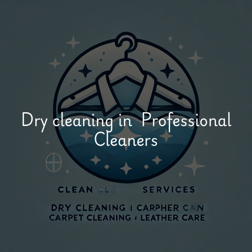 Dry Cleaning at  Professional Cleaners