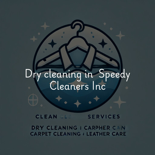 Dry Cleaning at  Speedy Cleaners Inc