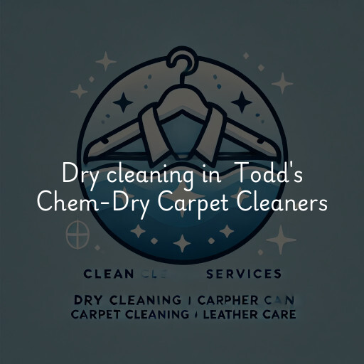 Dry Cleaning at  Todd's Chem-Dry Carpet Cleaners