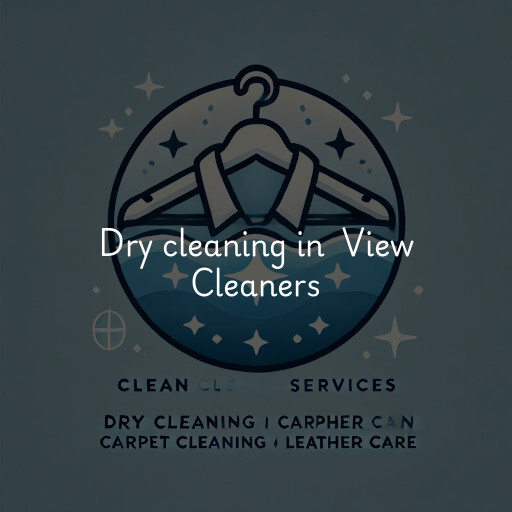 Dry Cleaning at  View Cleaners