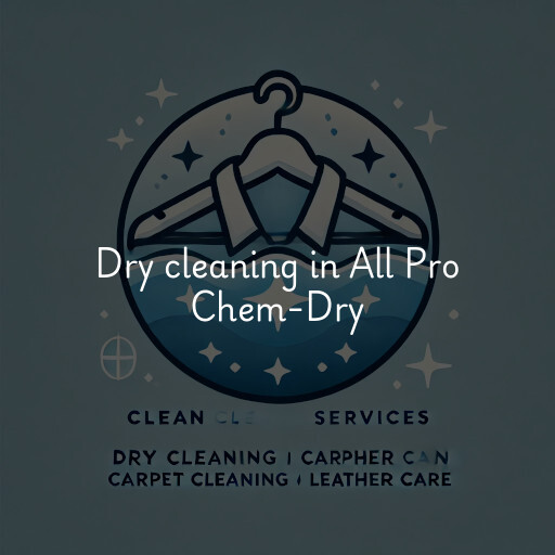 Dry cleaning services All Pro Chem-Dry