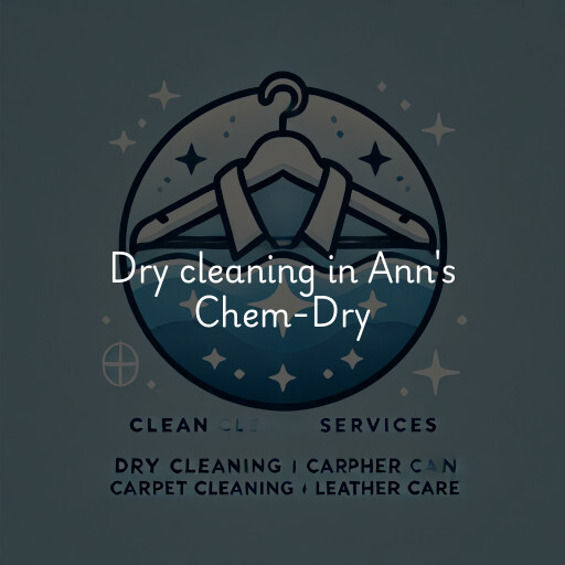 Dry cleaning services Ann's Chem-Dry