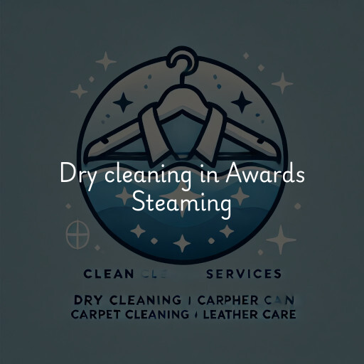 Dry cleaning services Awards Steaming