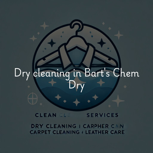 Dry cleaning services Bart's Chem Dry