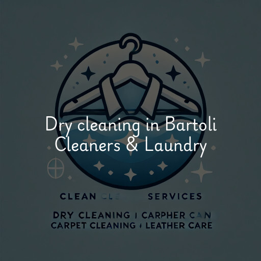 Dry cleaning services Bartoli Cleaners & Laundry