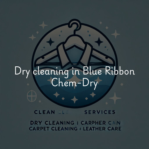 Dry cleaning services Blue Ribbon Chem-Dry