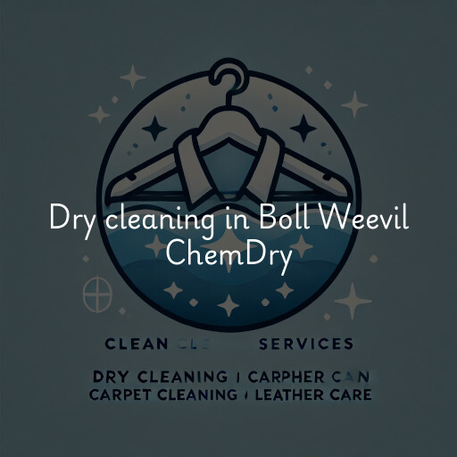 Dry cleaning services Boll Weevil ChemDry