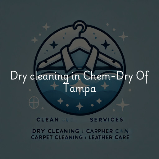 Dry cleaning services Chem-Dry Of Tampa