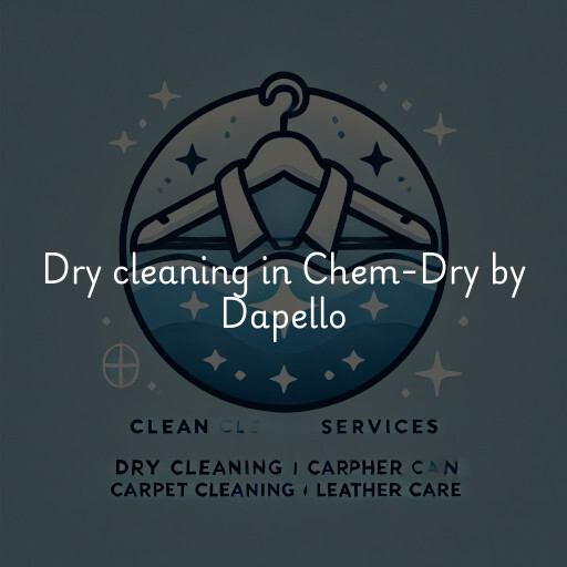 Dry cleaning services Chem-Dry by Dapello