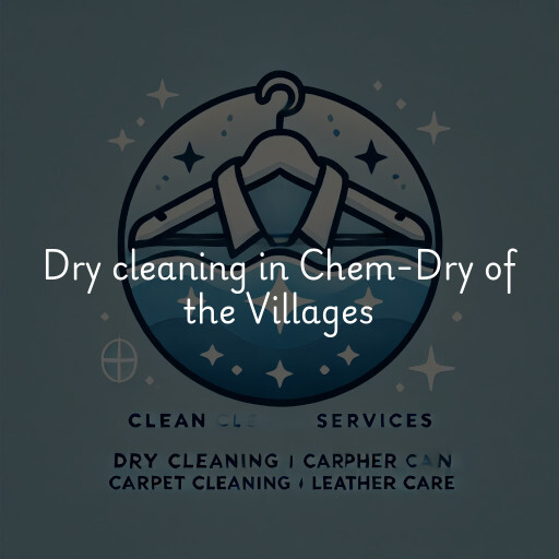 Dry cleaning services Chem-Dry of the Villages