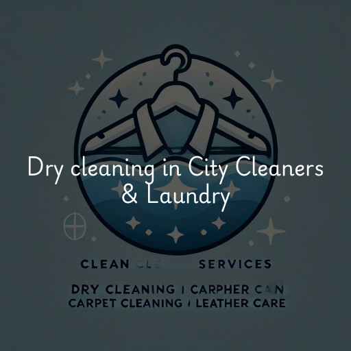 Dry cleaning services City Cleaners & Laundry