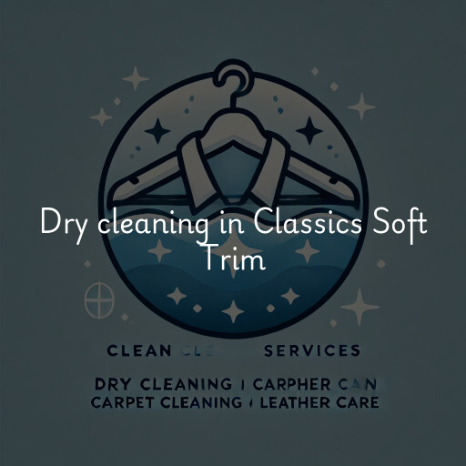 Dry cleaning services Classics Soft Trim