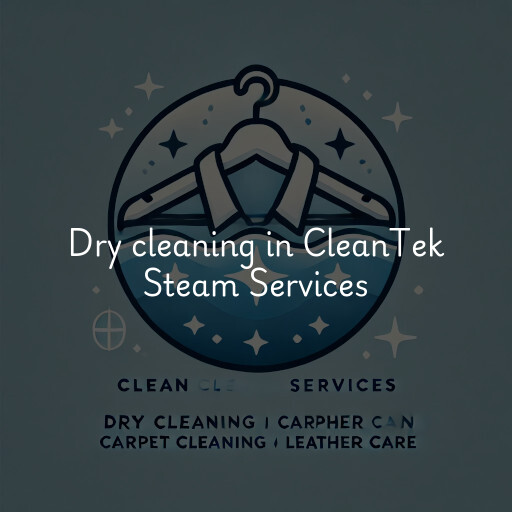 Dry cleaning services CleanTek Steam Services