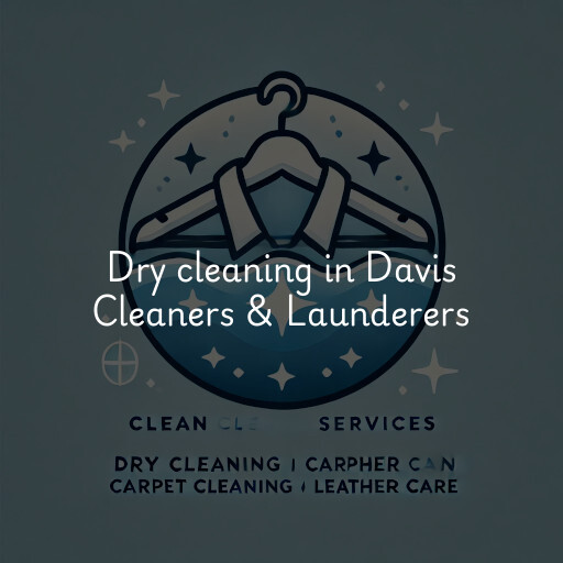 Dry cleaning services Davis Cleaners & Launderers