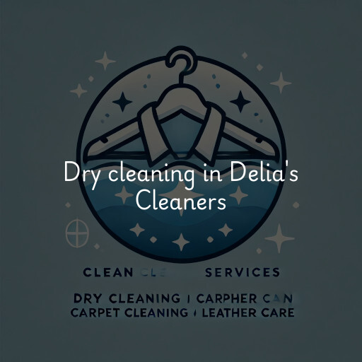 Dry cleaning services Delia's Cleaners