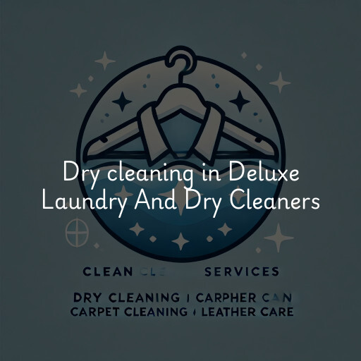 Dry cleaning services Deluxe Laundry And Dry Cleaners