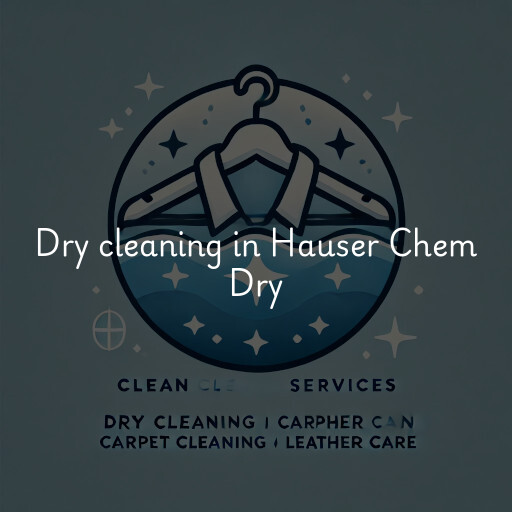 Dry cleaning services Hauser Chem Dry