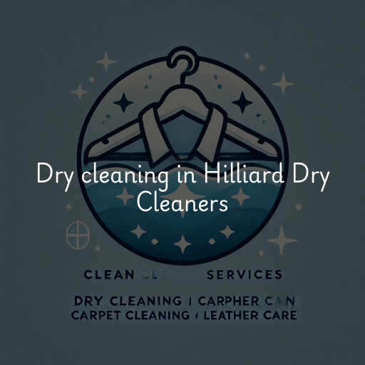 Dry cleaning services Hilliard Dry Cleaners