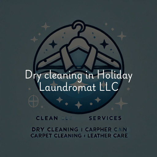 Dry cleaning services Holiday Laundromat LLC