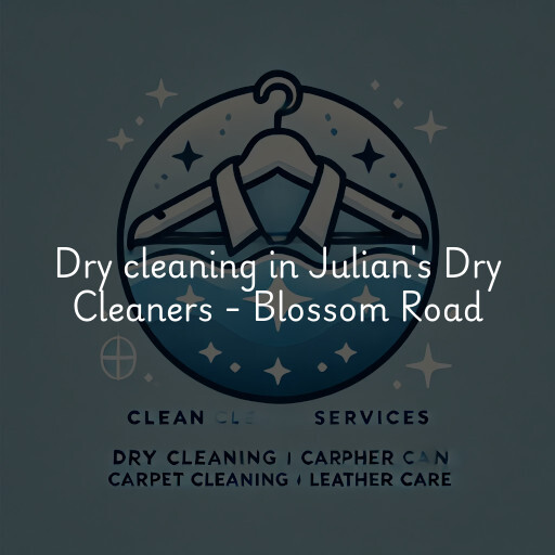 Dry cleaning services Julian's Dry Cleaners - Blossom Road