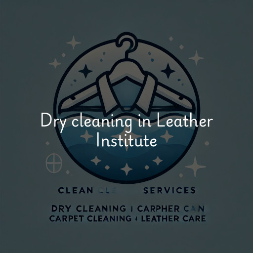 Dry cleaning services Leather Institute