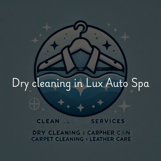 Dry cleaning services Lux Auto Spa