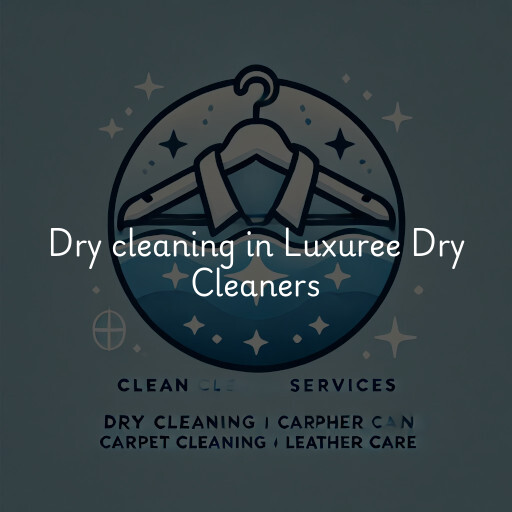 Dry cleaning services Luxuree Dry Cleaners